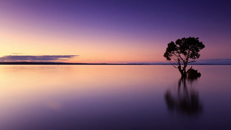 Person meditating at sunset